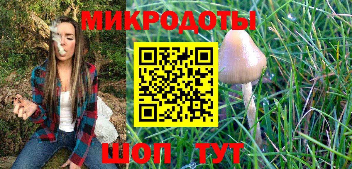 Псилоцибиновые грибы Cubensis  Тайшет  Псилоцибиновые грибы Psilocybine cubensis 