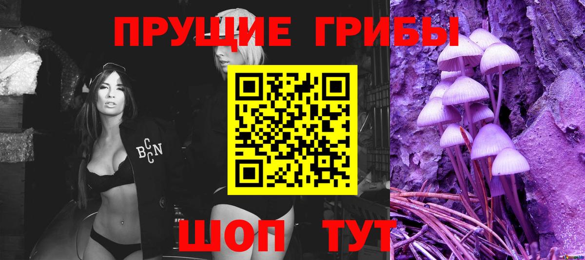Псилоцибиновые грибы MAGIC MUSHROOMS Тайшет