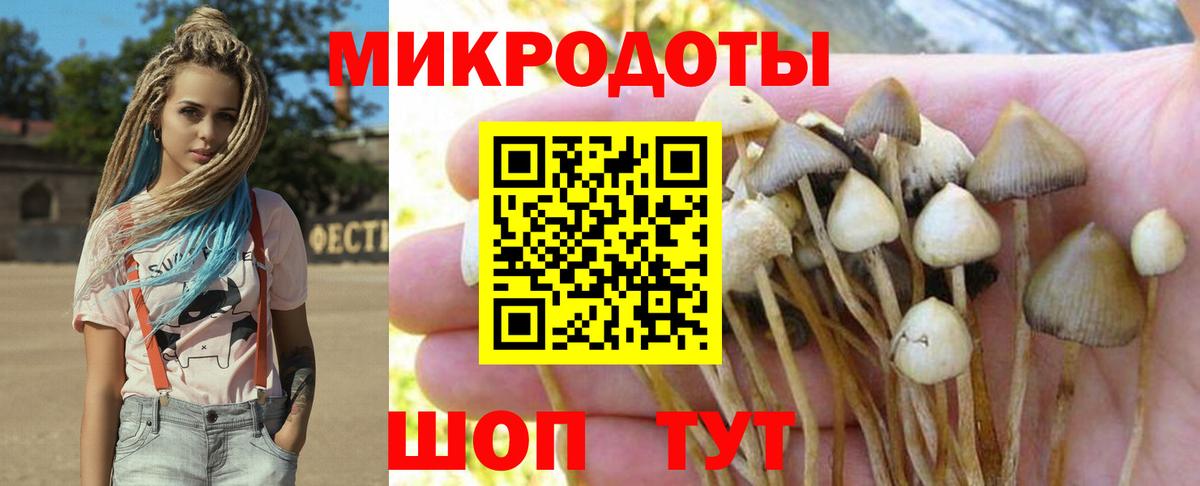 Псилоцибиновые грибы мицелий  Вход с VPN  Тайшет 